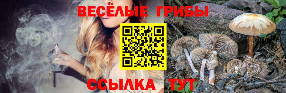 Галлюциногенные грибы ЛСД Лянтор